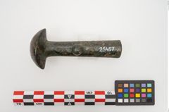 Foto von Bronzeortband (NHMW-PRAE-025457)
